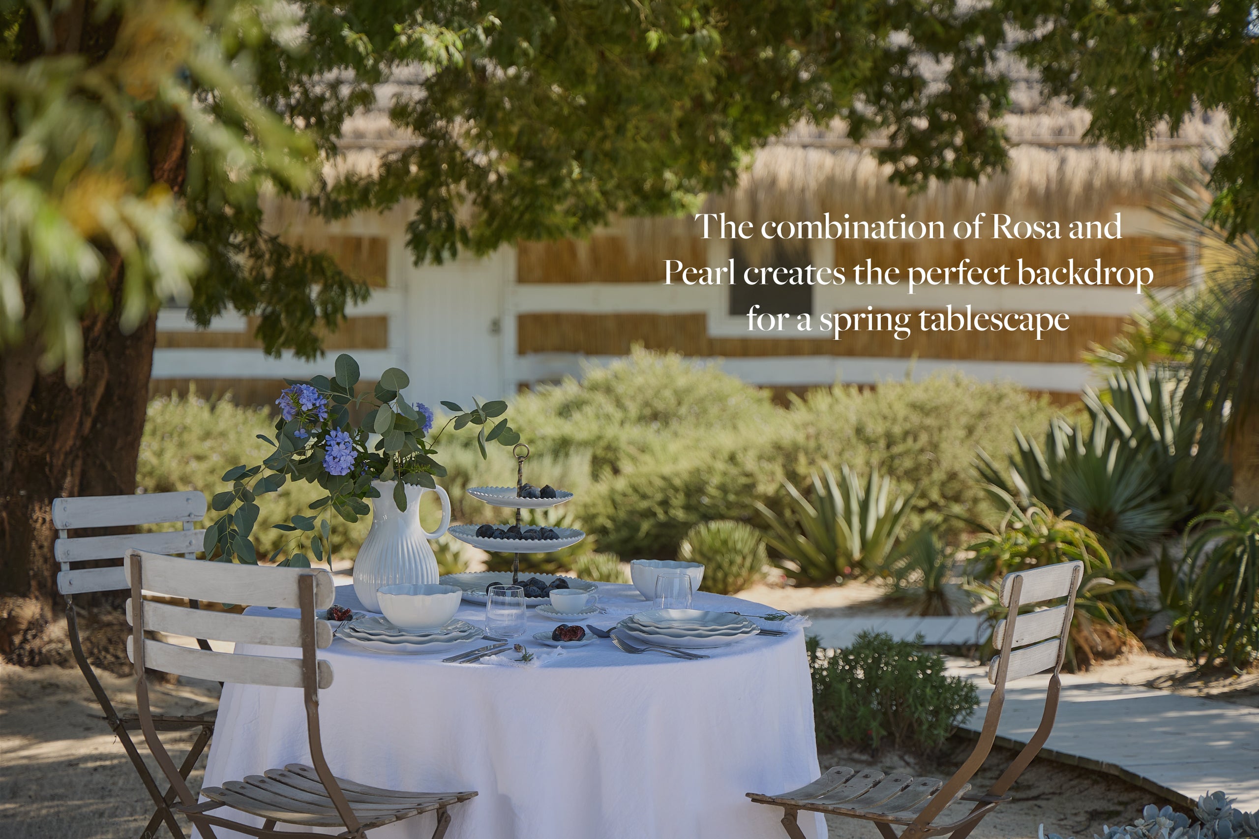 Holiday Shop - COSTA NOVA