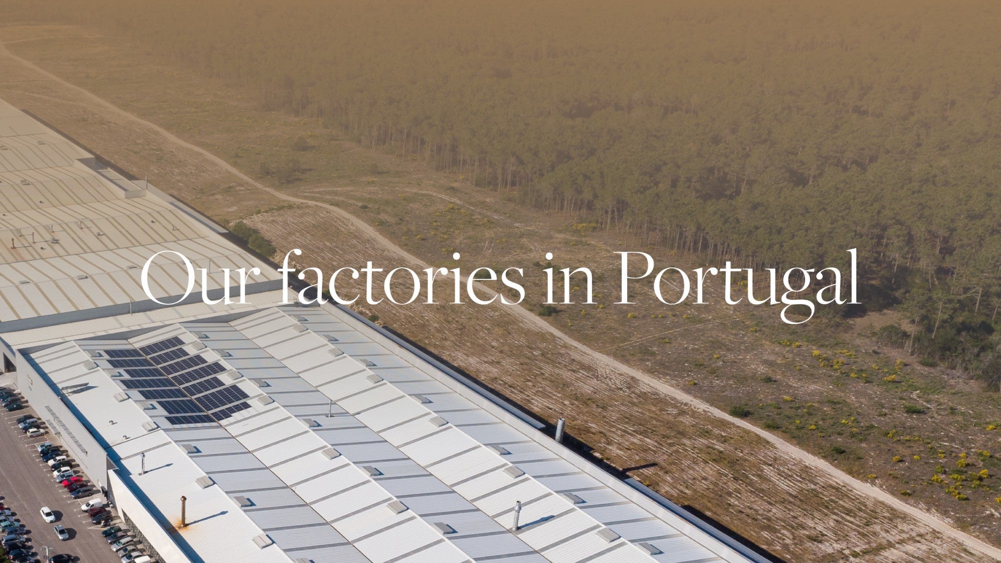 Holiday Shop - COSTA NOVA