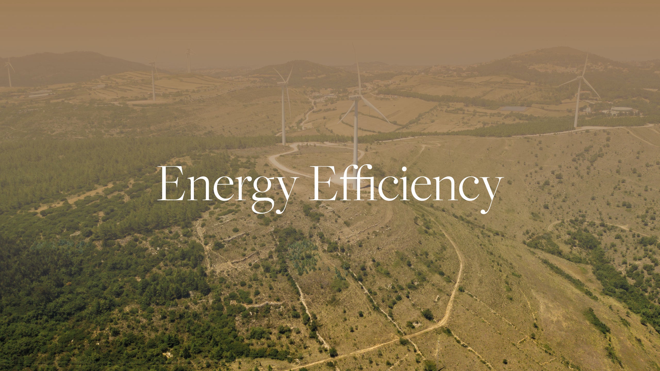 Holiday Shop - COSTA NOVA