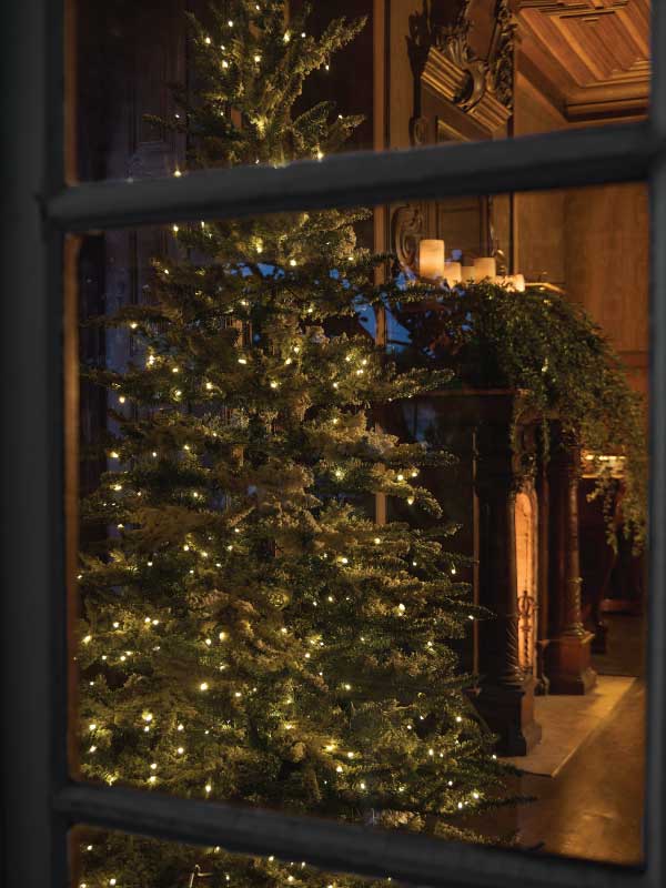 A Promessa da Meia-Noite