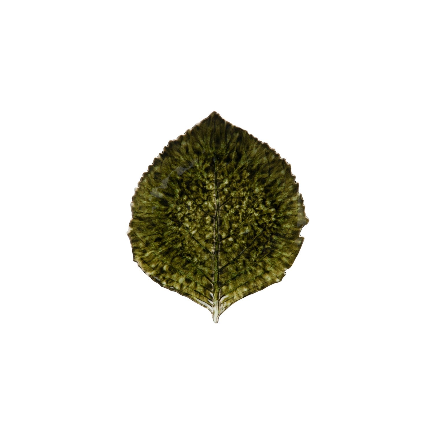 Alchemille Leaf Riviera