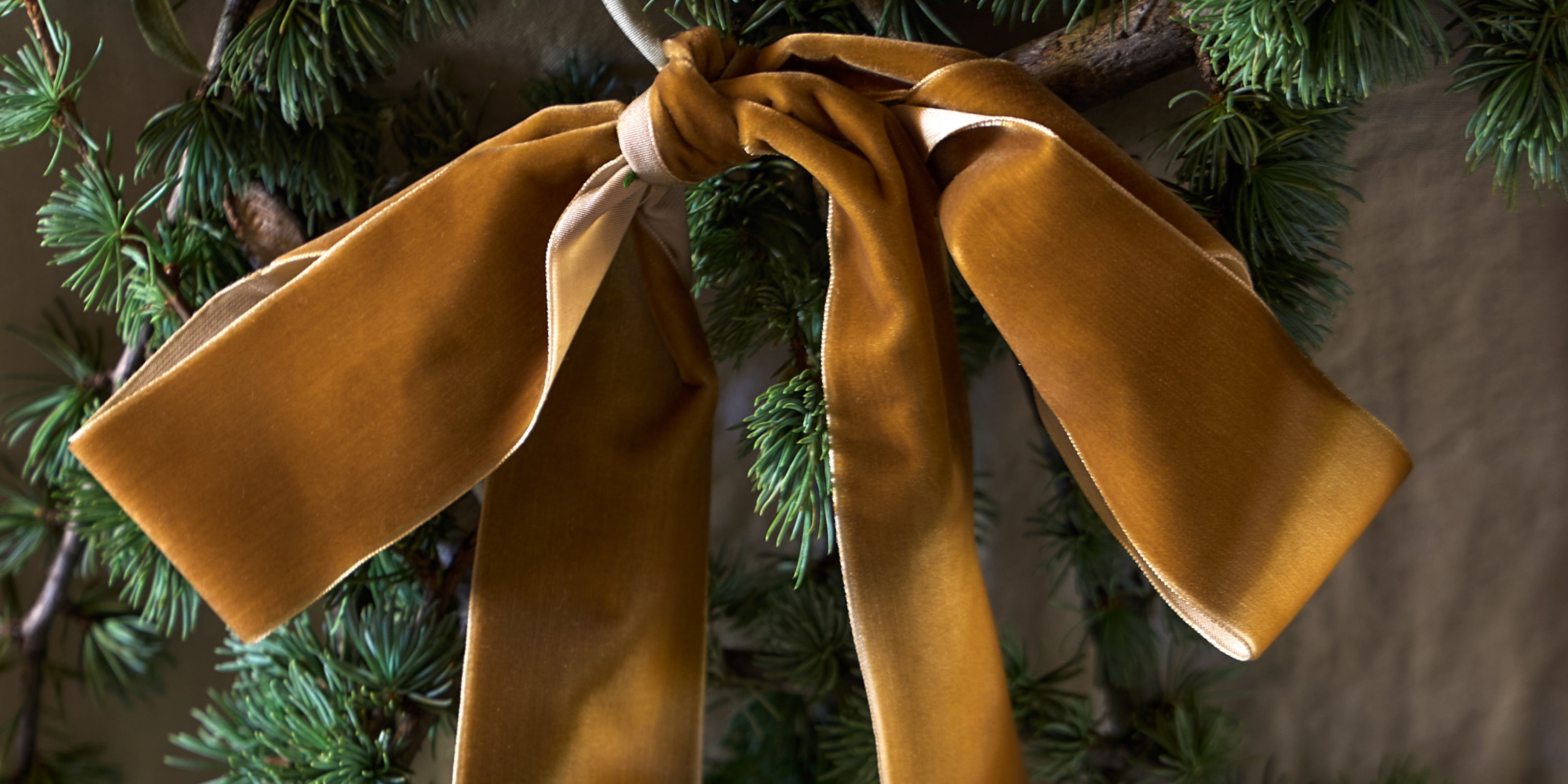 Holiday Shop - COSTA NOVA