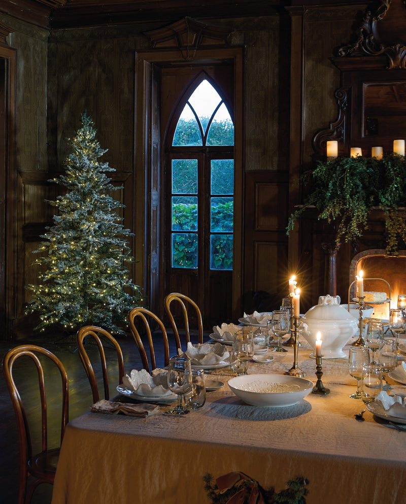 Texte alternatif de l'image