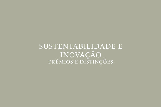 Imagem do card hover