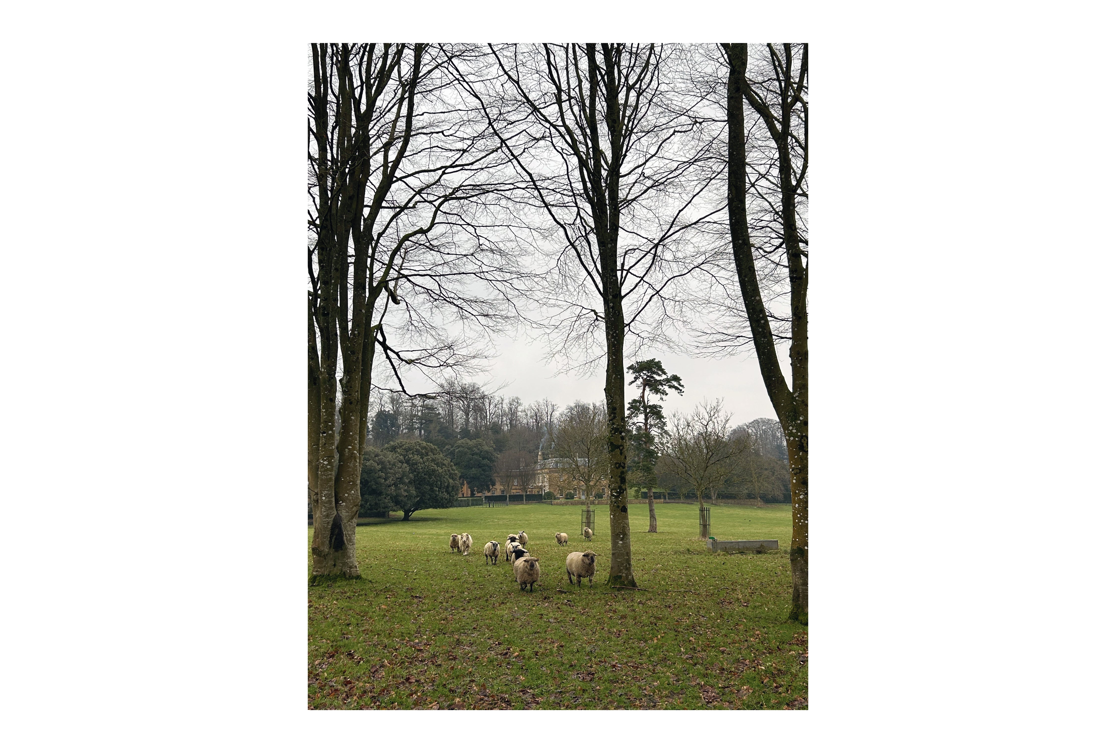 Holiday Shop - COSTA NOVA