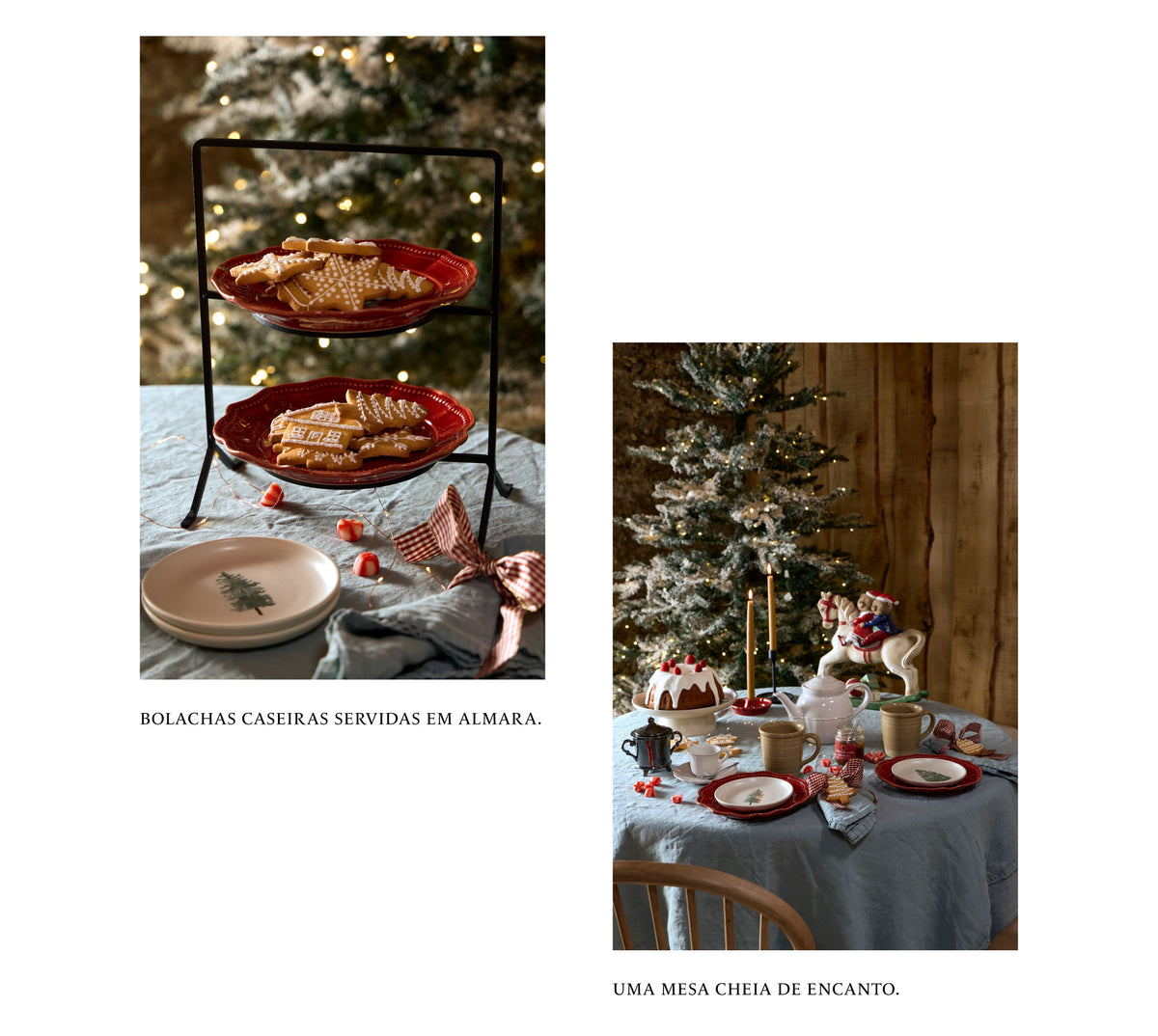 Holiday Shop - COSTA NOVA
